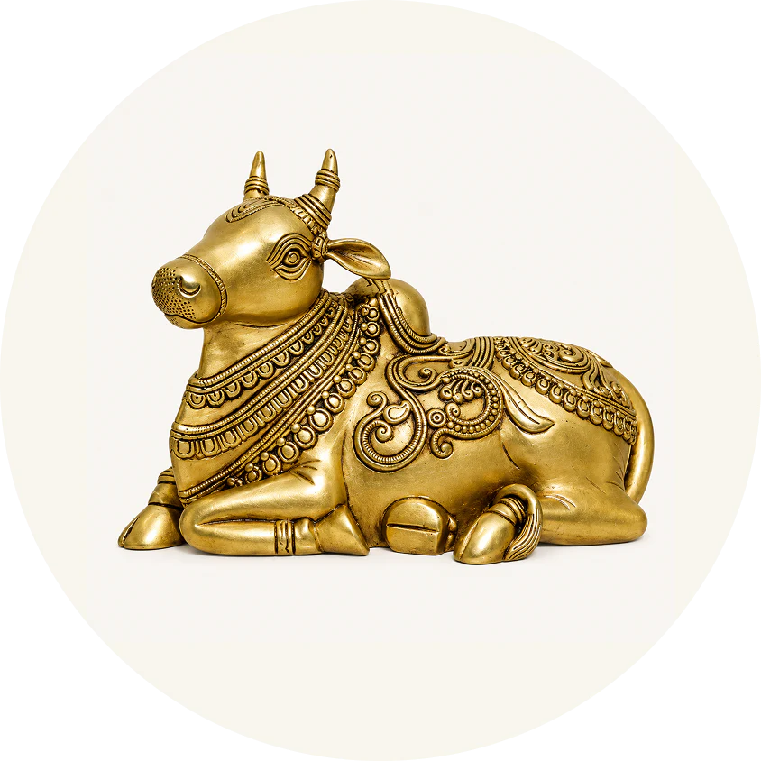 NANDI JI